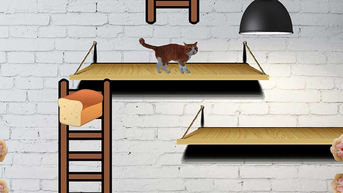 Cat-copy